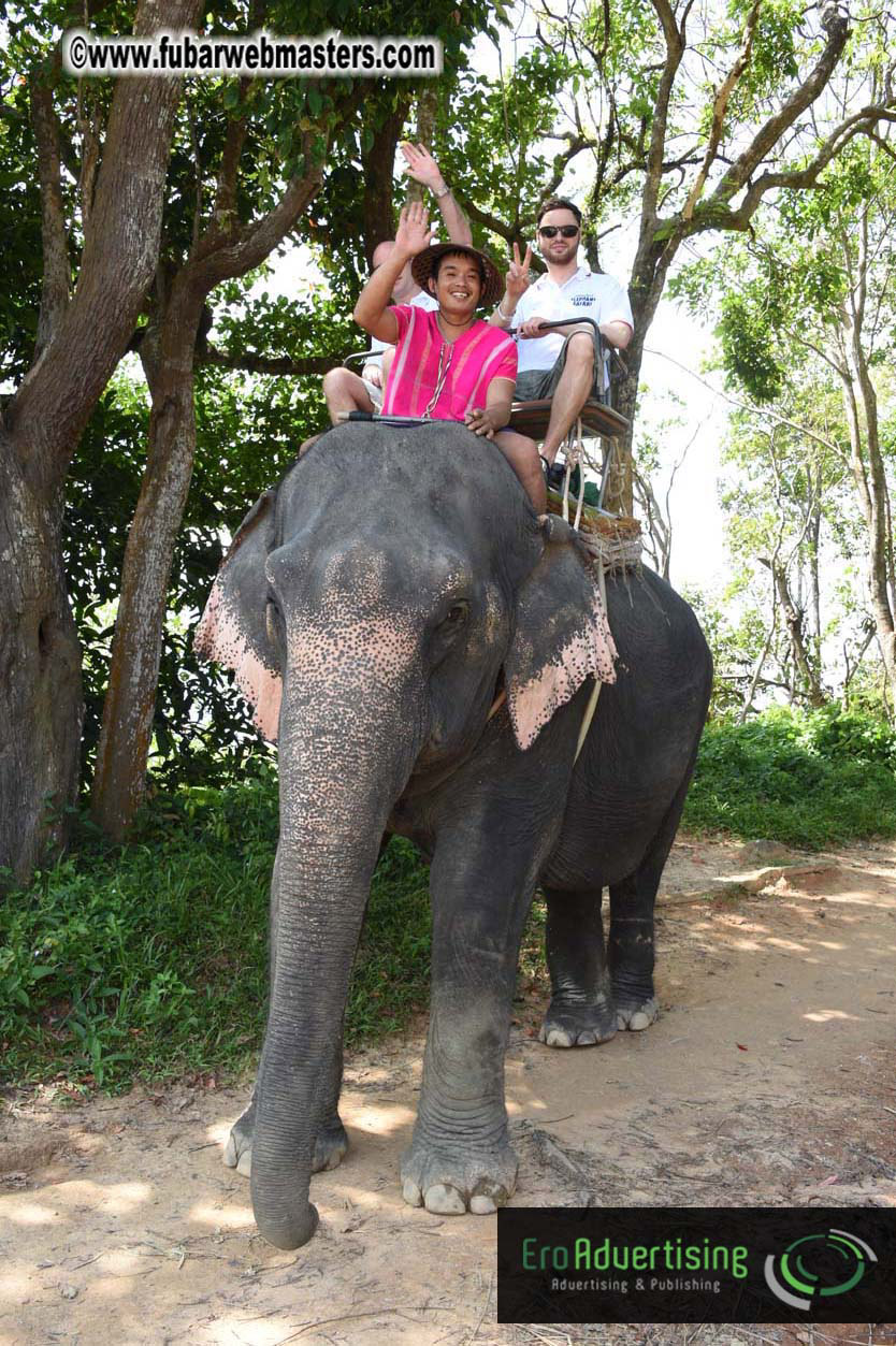 Elephant Safari 