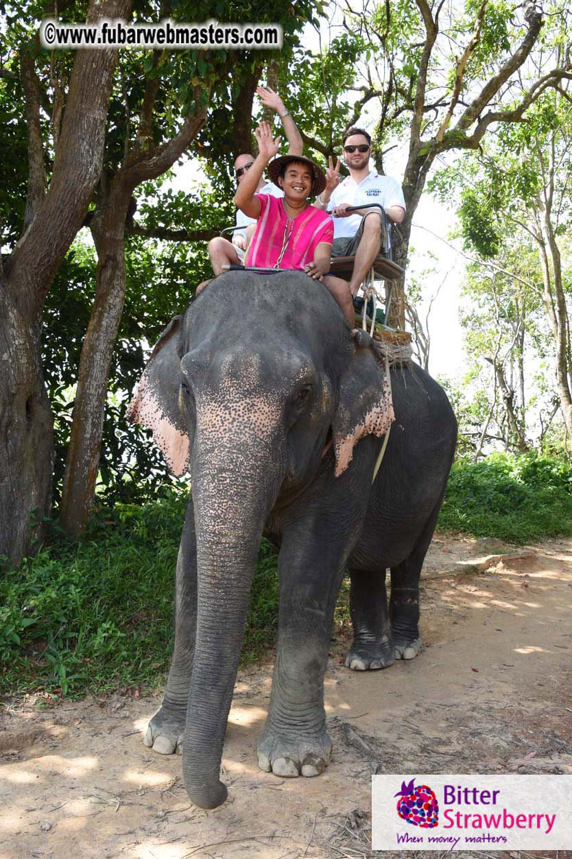 Elephant Safari 