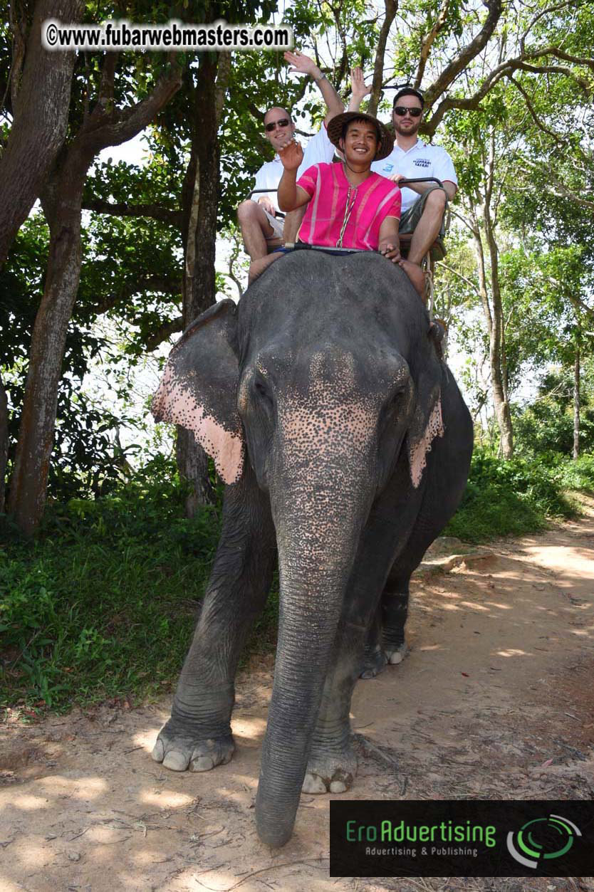 Elephant Safari 