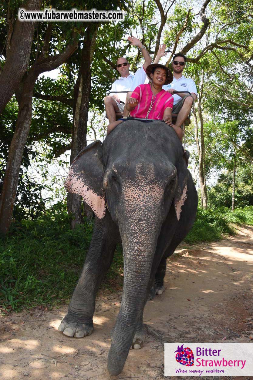 Elephant Safari 