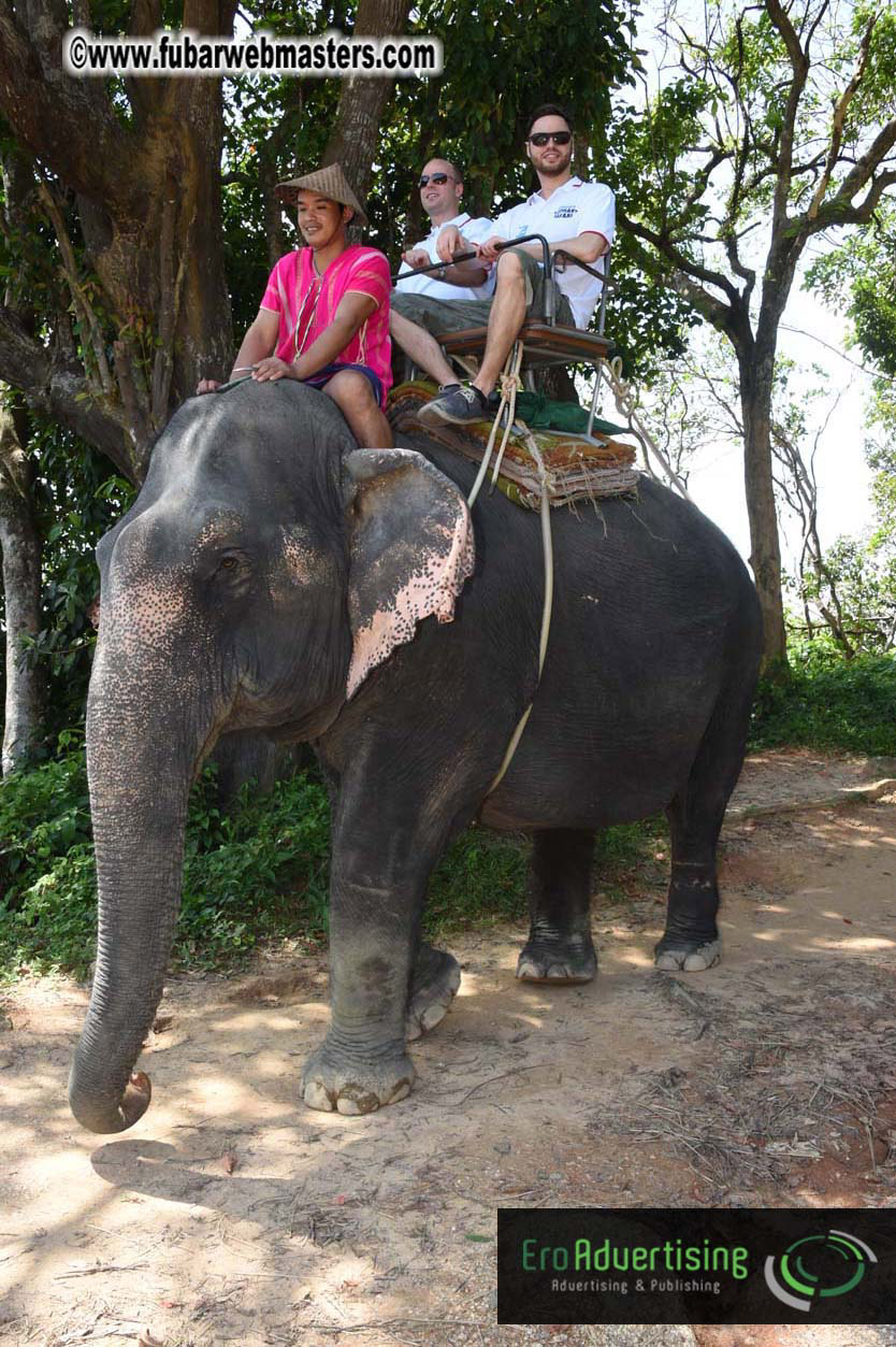 Elephant Safari 