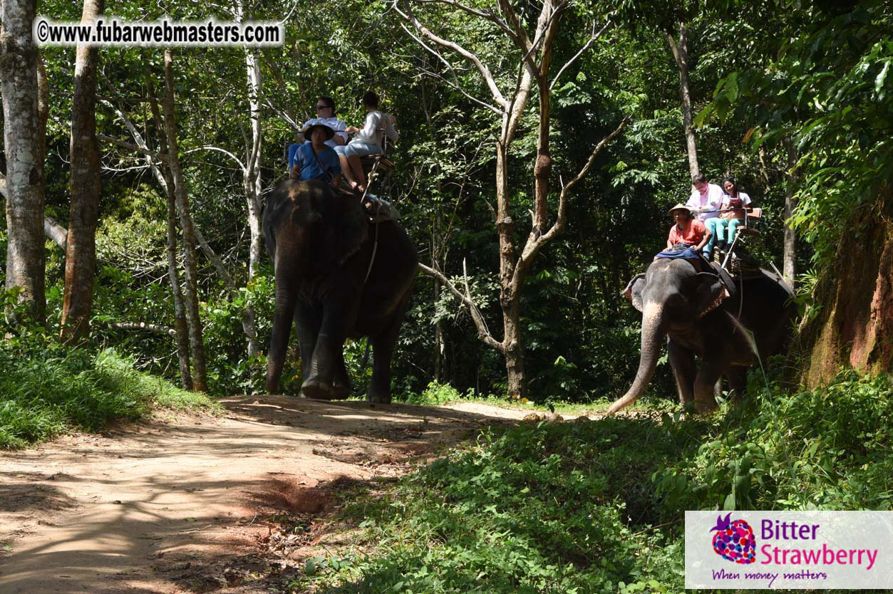 Elephant Safari 