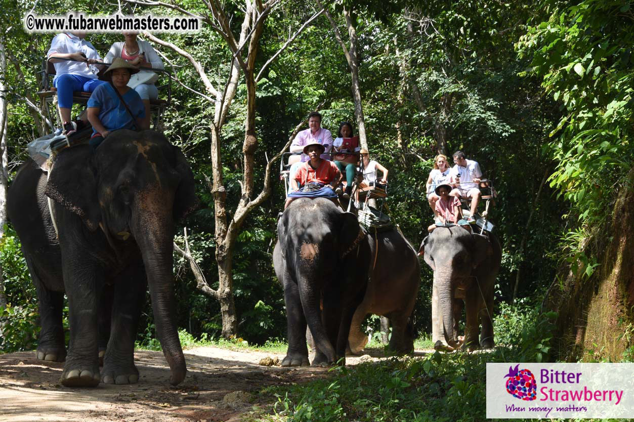 Elephant Safari 