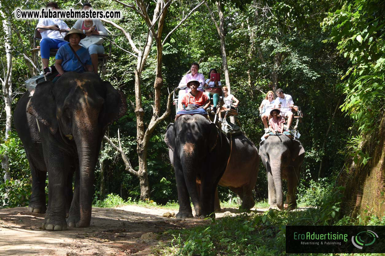 Elephant Safari 