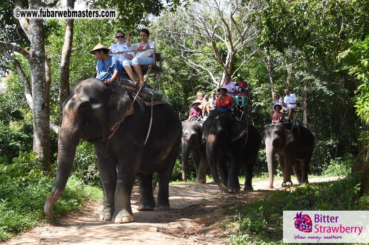 Elephant Safari 