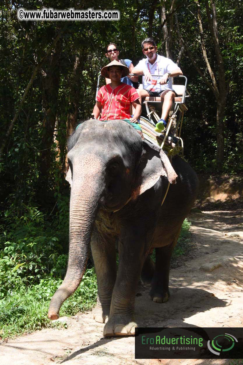 Elephant Safari 