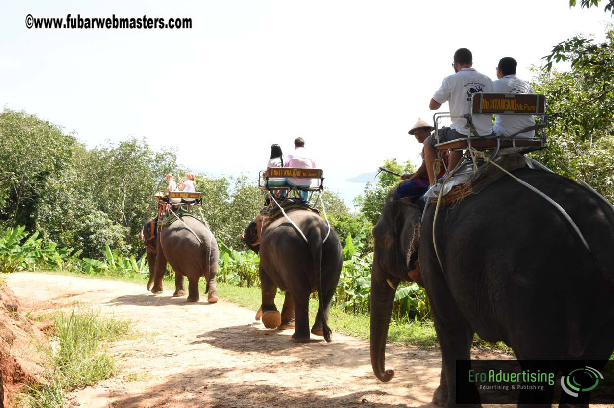 Elephant Safari 