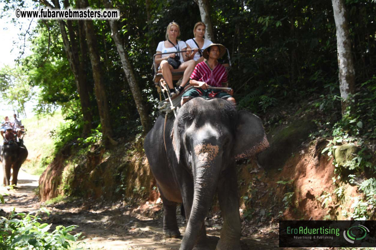 Elephant Safari 