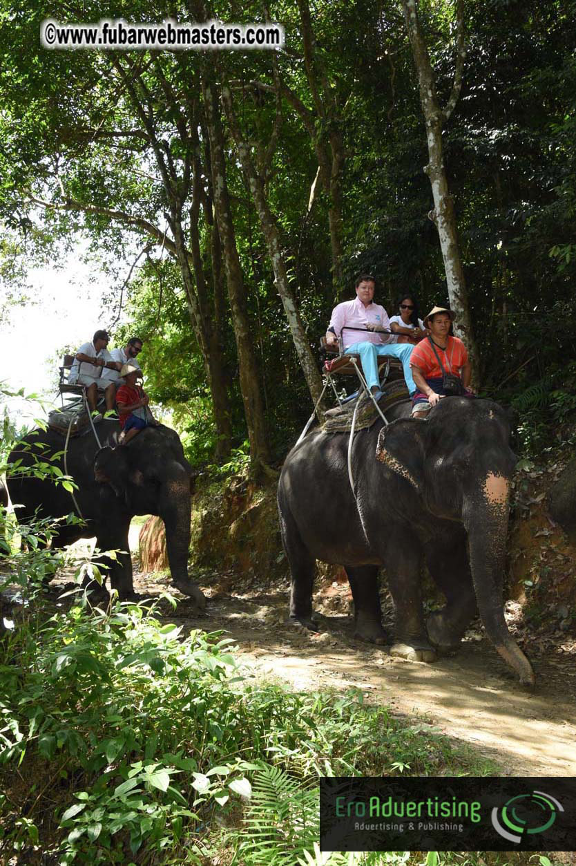 Elephant Safari 