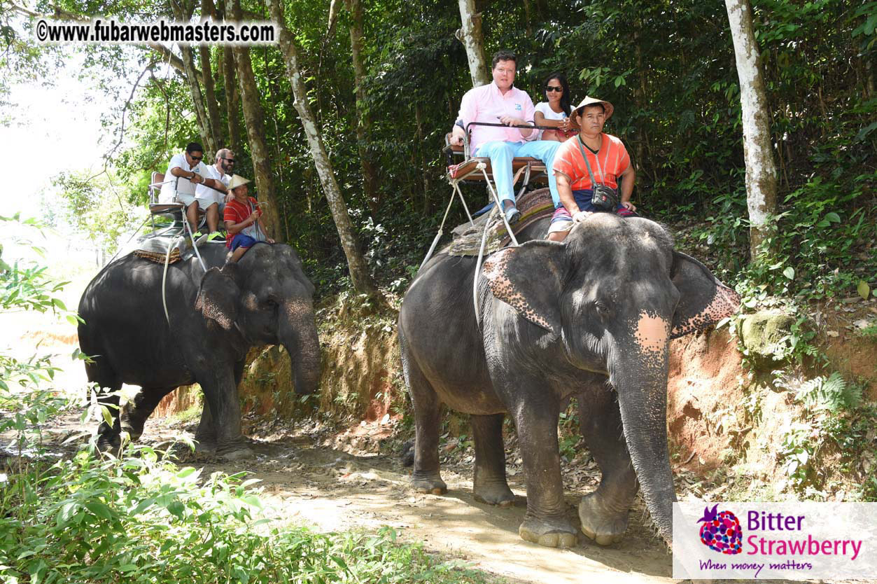 Elephant Safari 