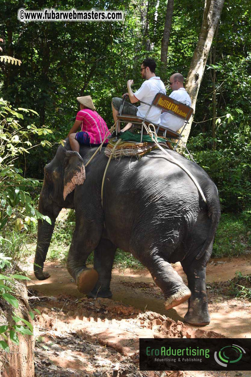 Elephant Safari 