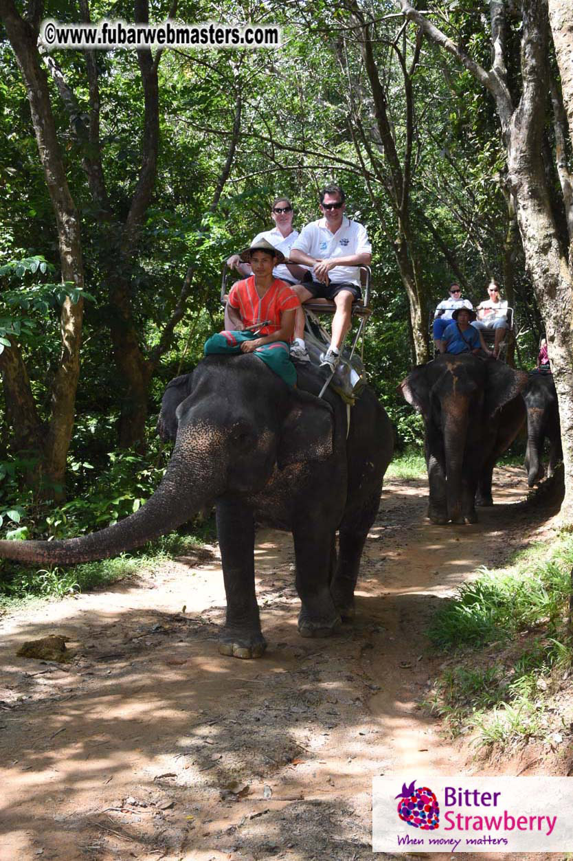 Elephant Safari 