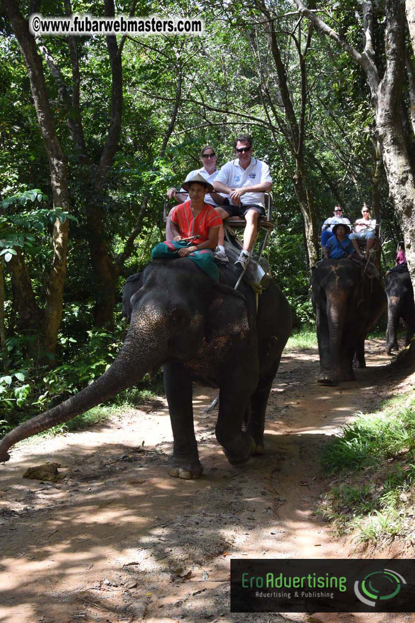 Elephant Safari 