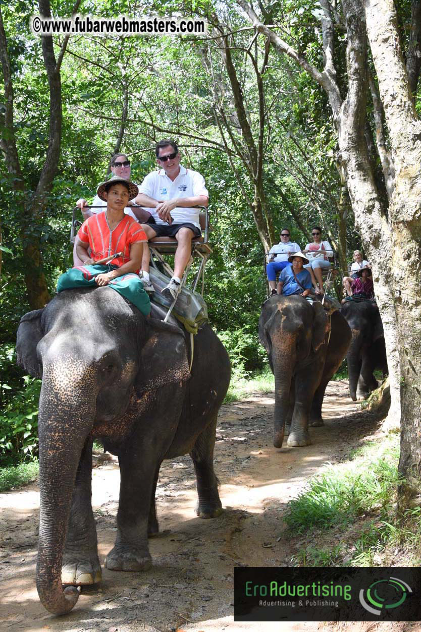 Elephant Safari 