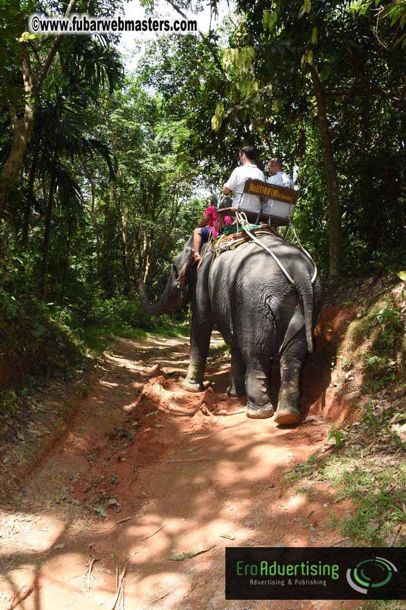 Elephant Safari 