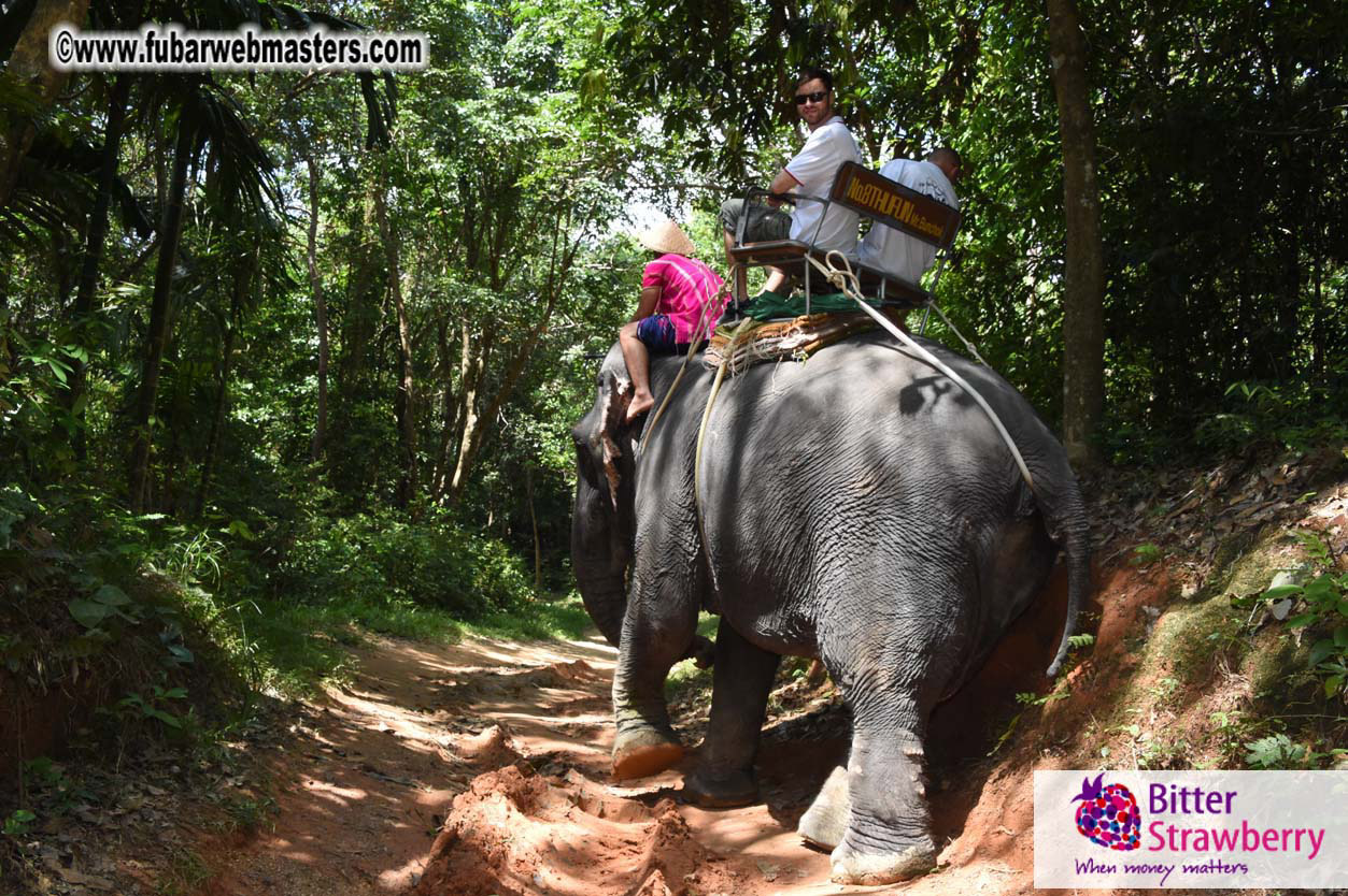 Elephant Safari 