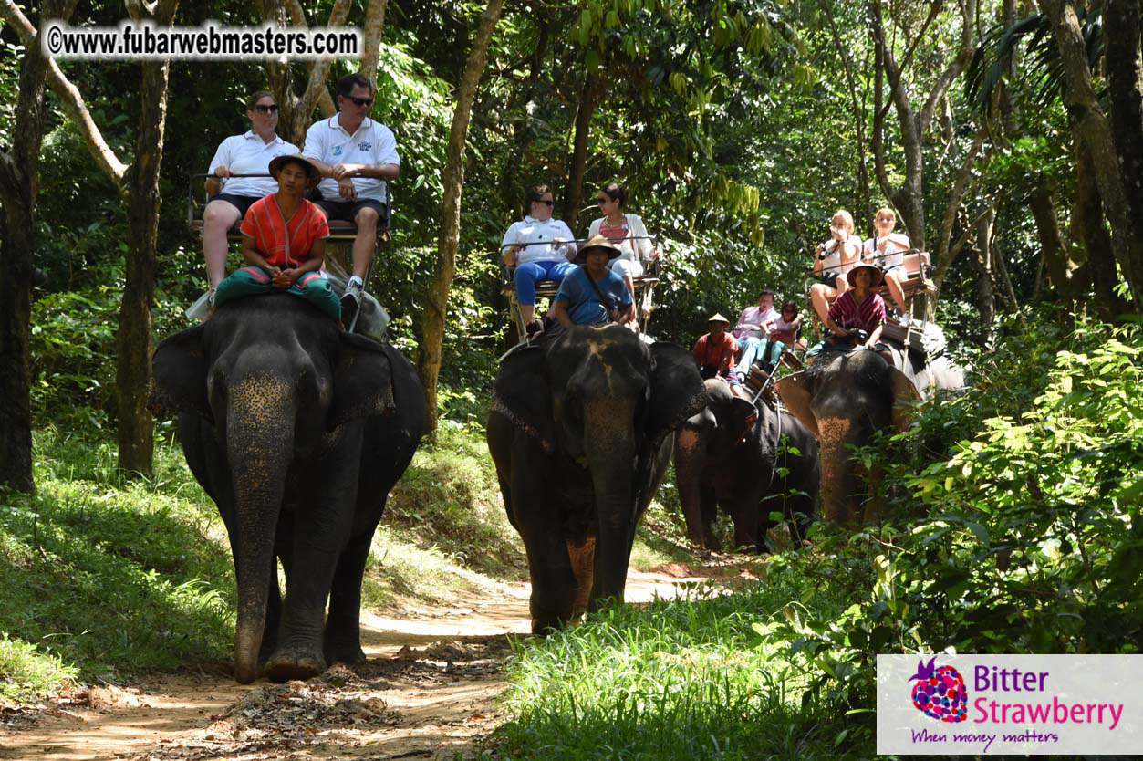 Elephant Safari 