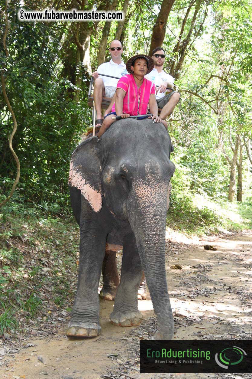 Elephant Safari 