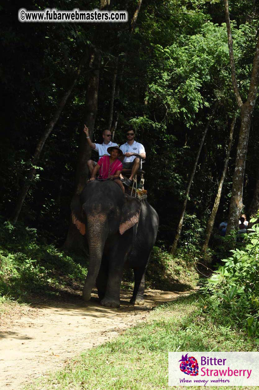 Elephant Safari 