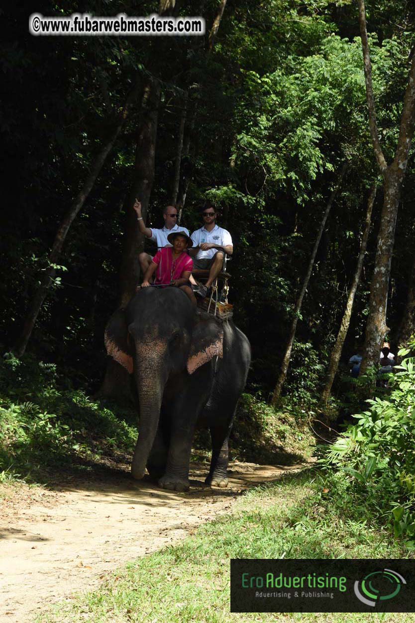 Elephant Safari 