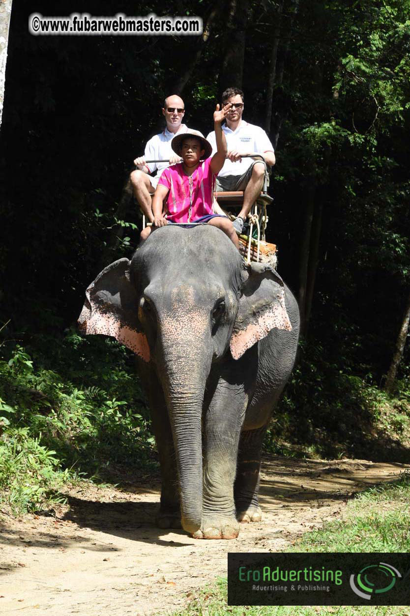 Elephant Safari 