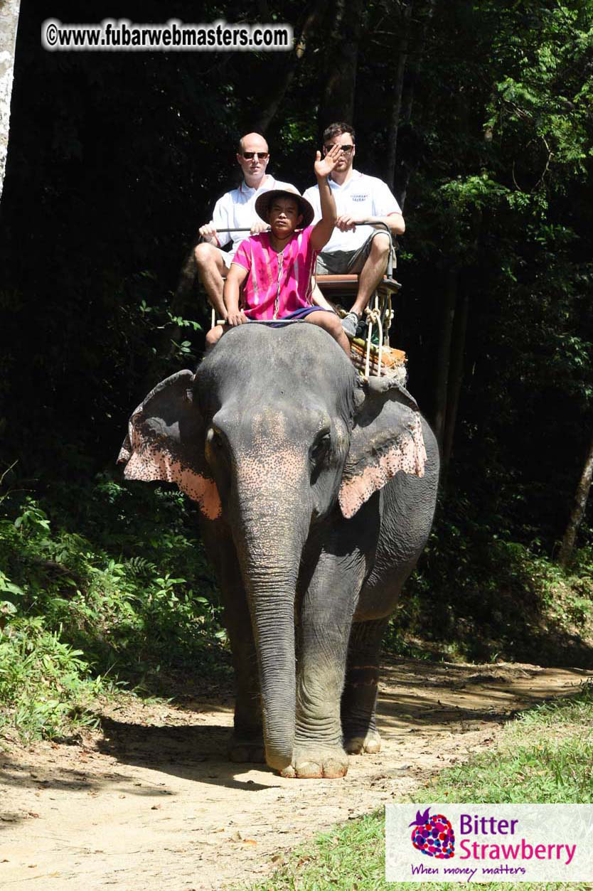 Elephant Safari 