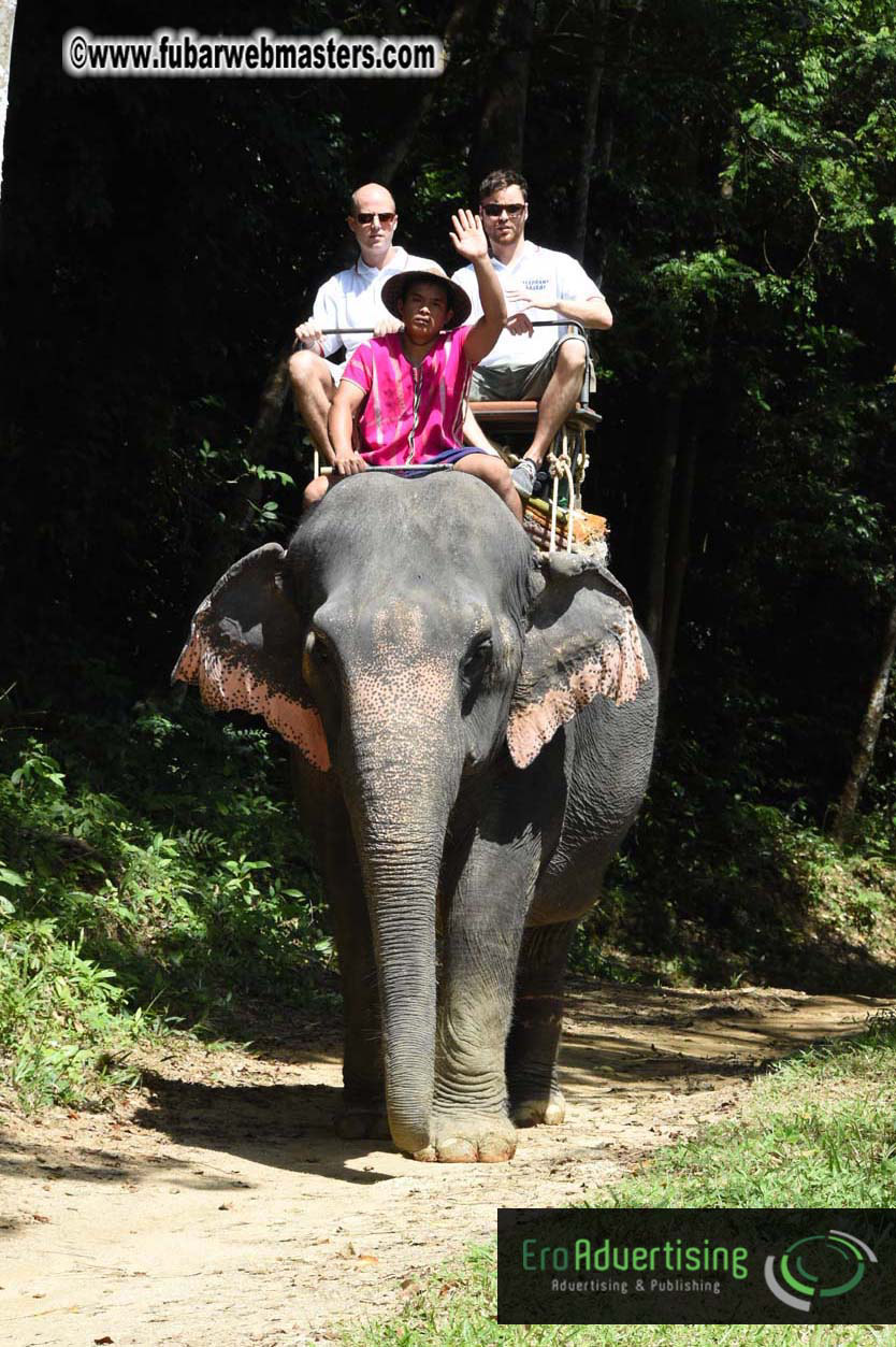 Elephant Safari 