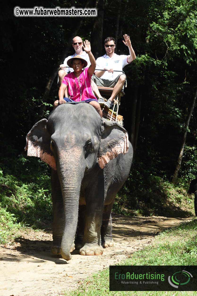 Elephant Safari 