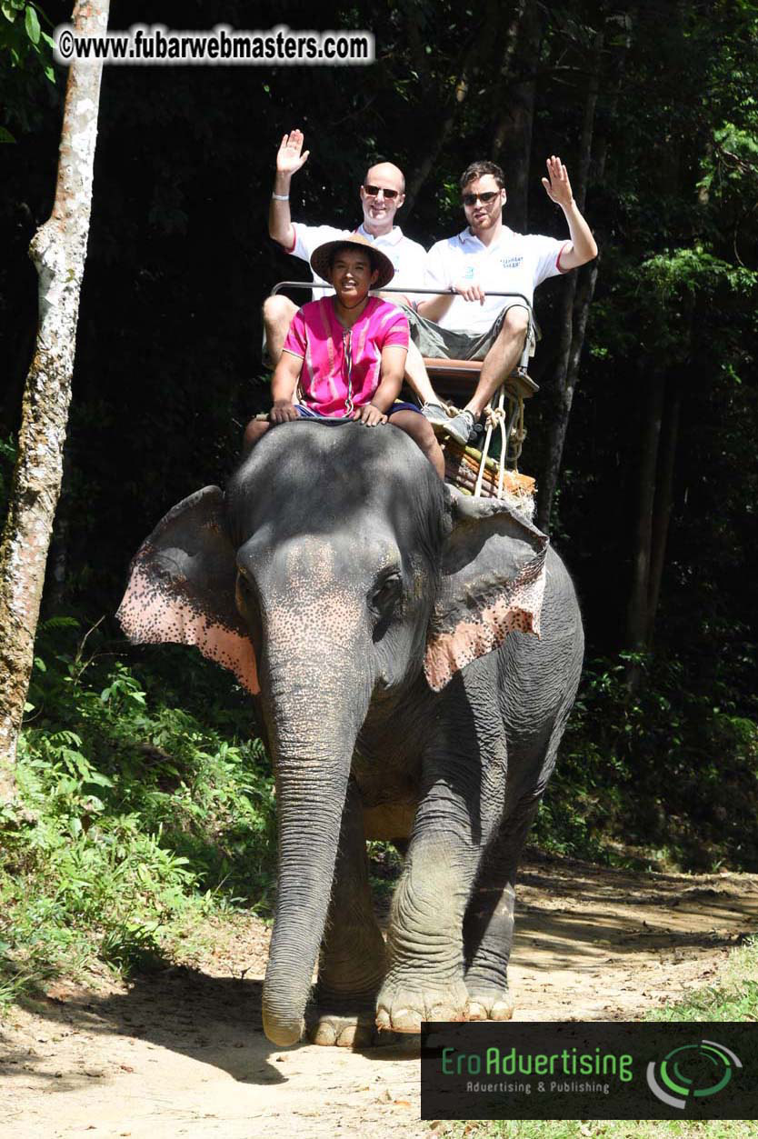 Elephant Safari 