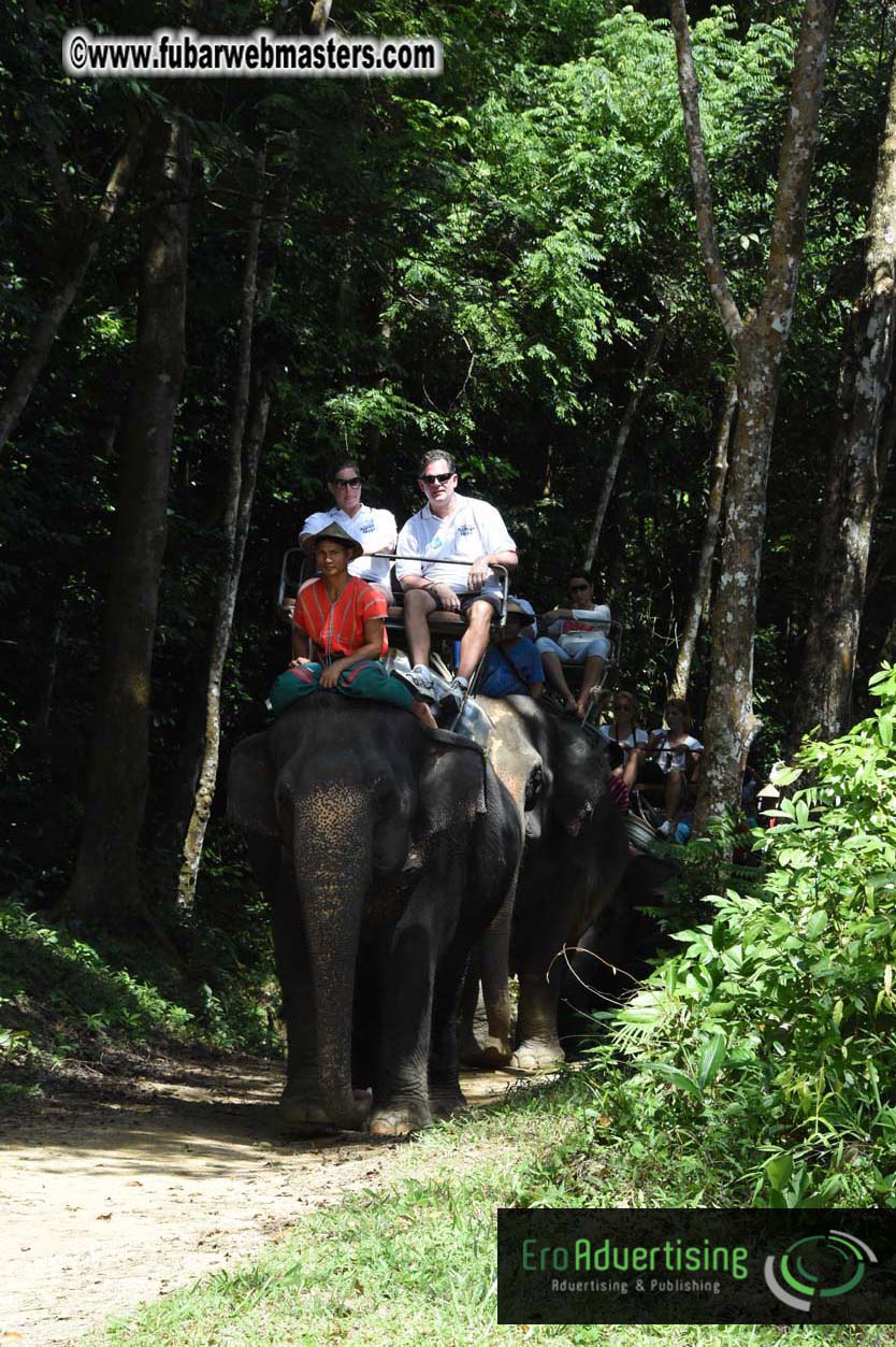 Elephant Safari 