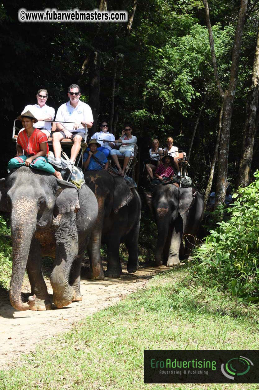 Elephant Safari 