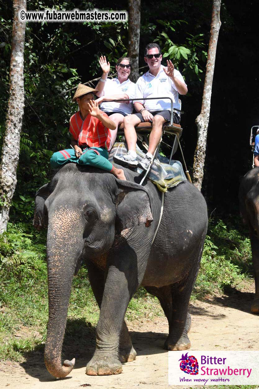 Elephant Safari 