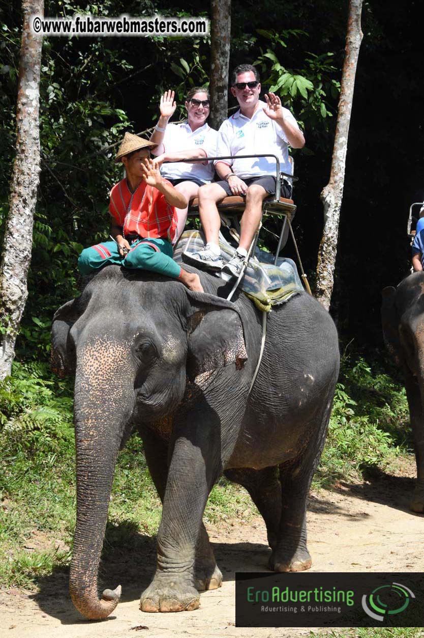 Elephant Safari 