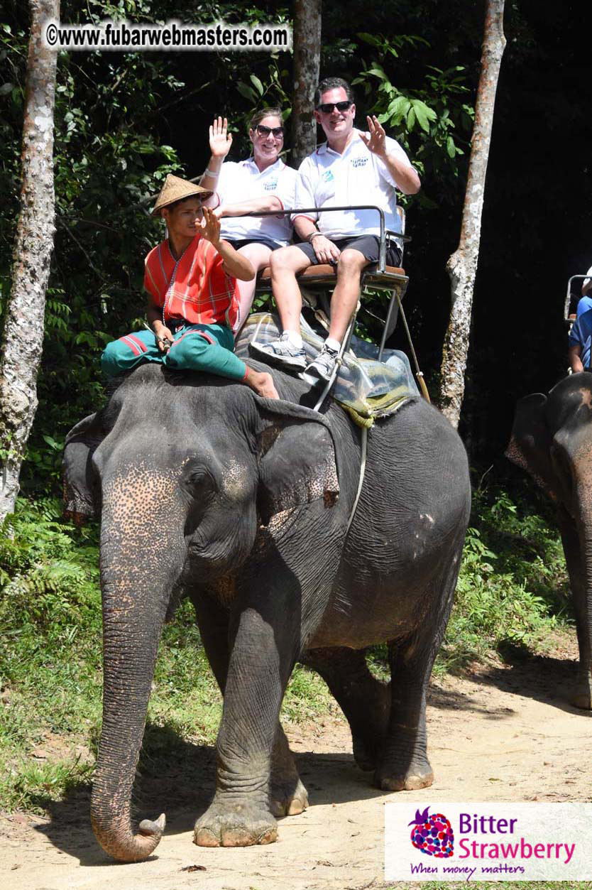 Elephant Safari 