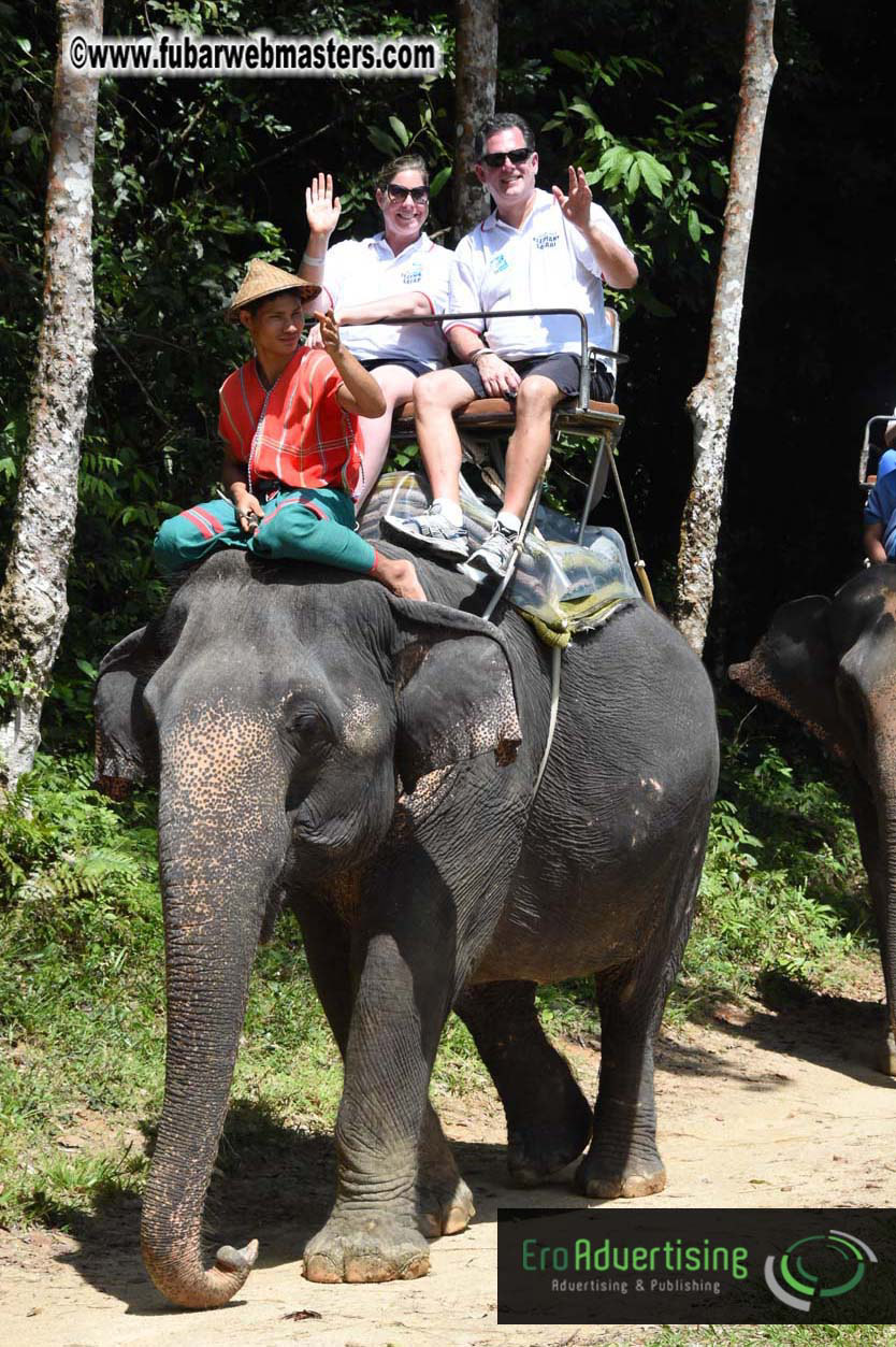 Elephant Safari 