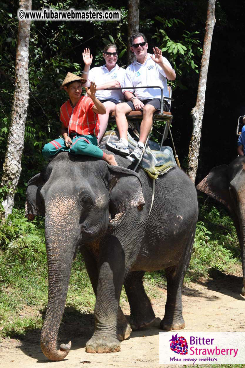 Elephant Safari 