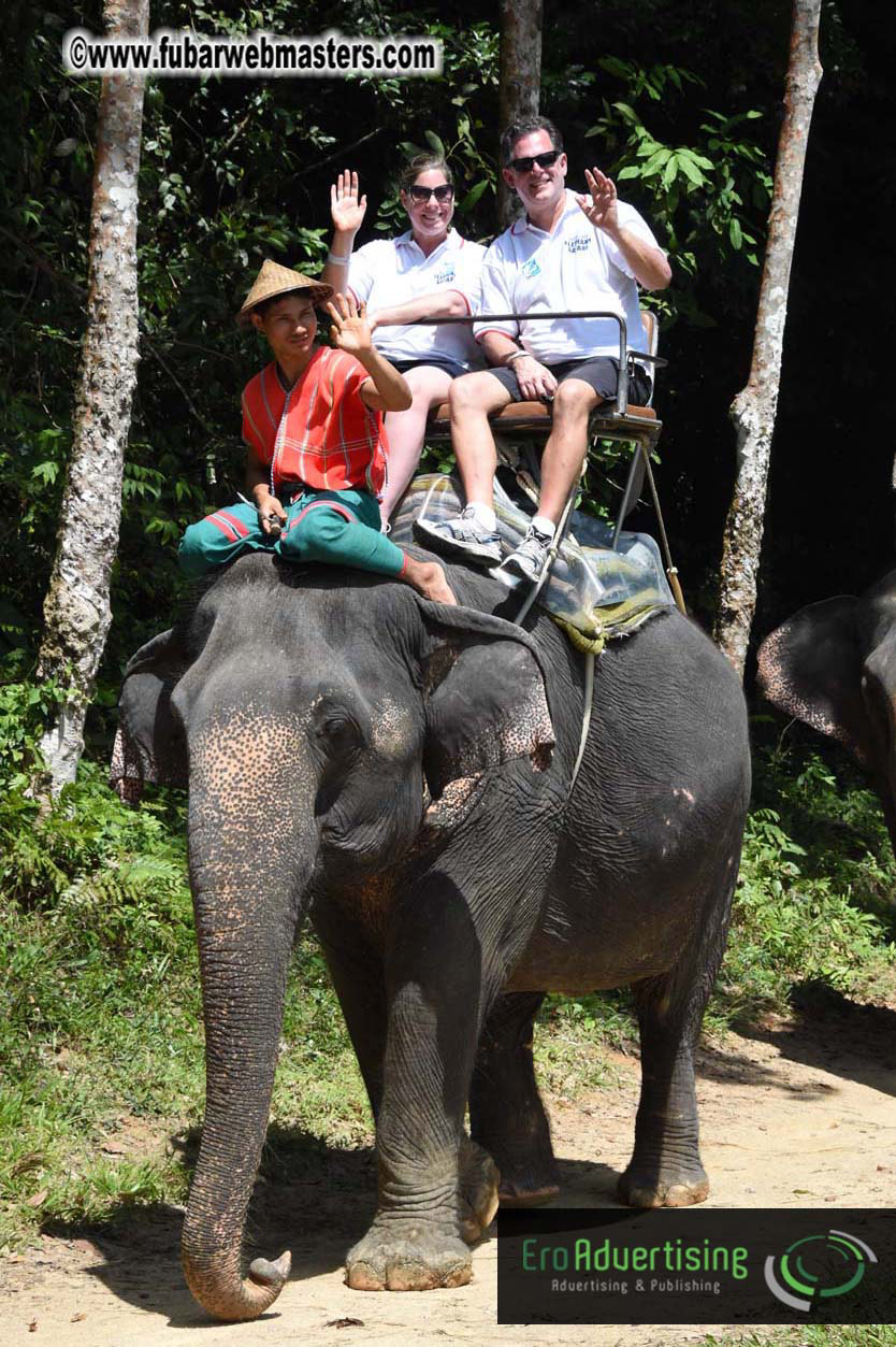 Elephant Safari 