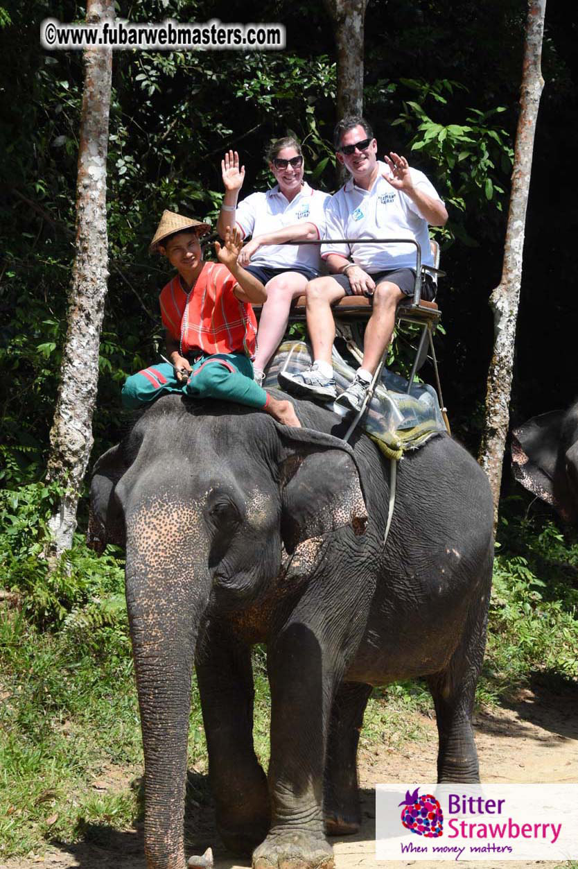 Elephant Safari 