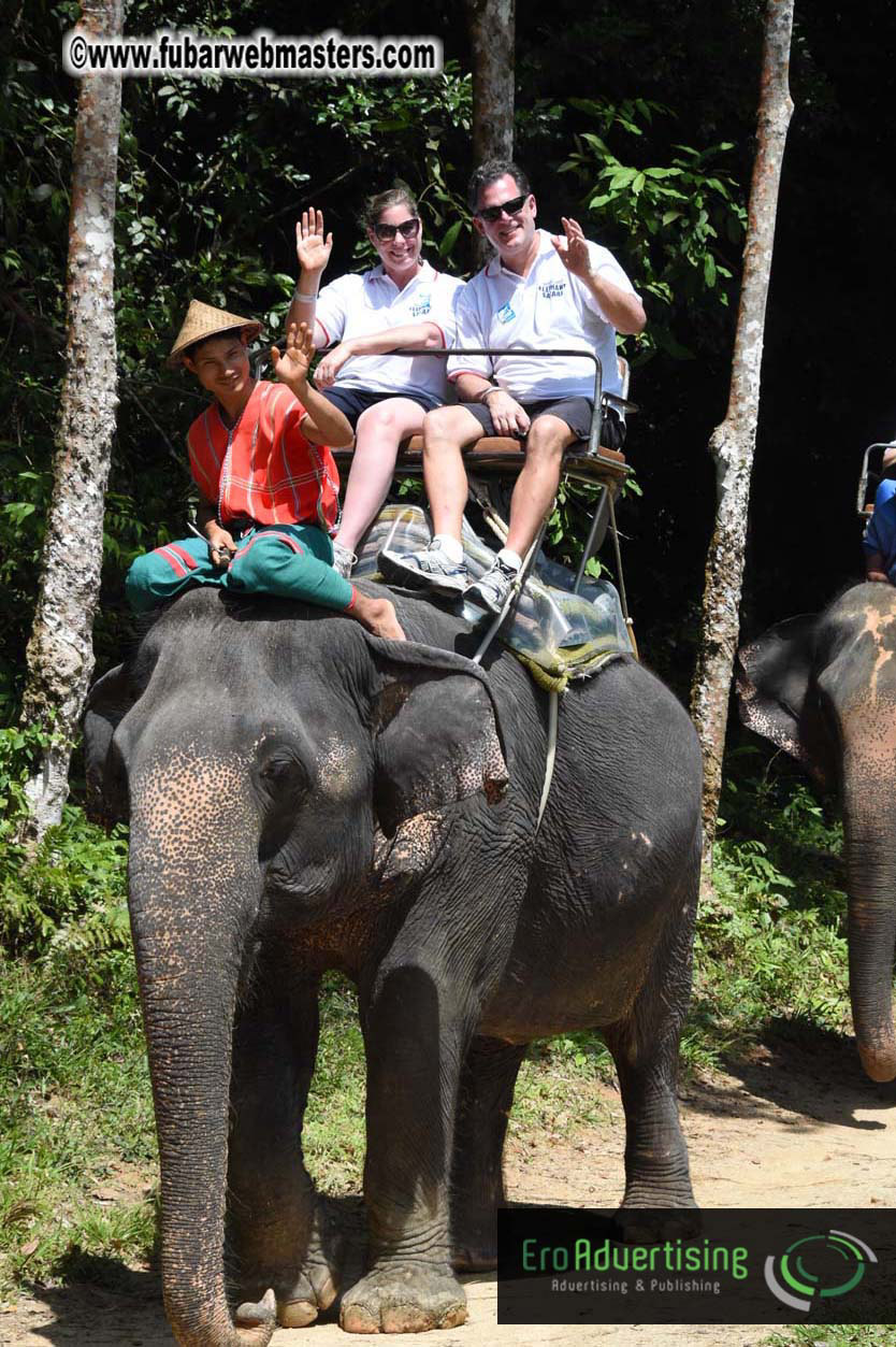 Elephant Safari 