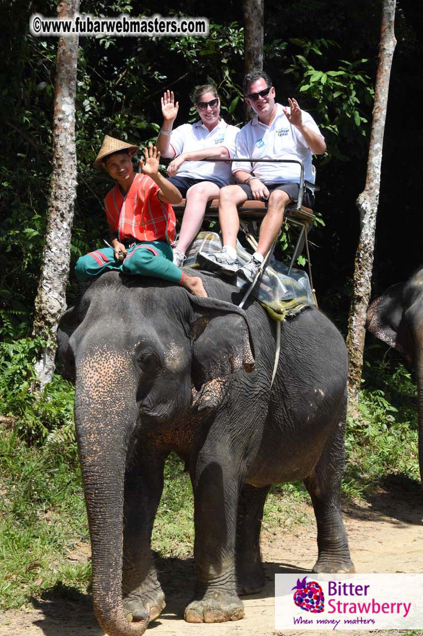 Elephant Safari 