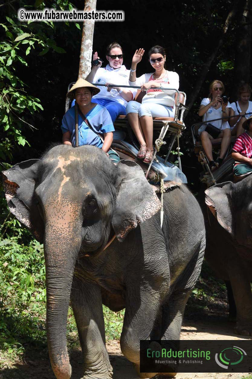 Elephant Safari 