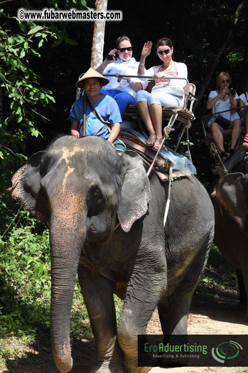 Elephant Safari 