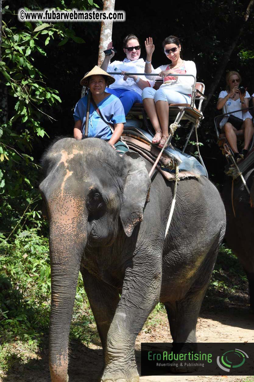 Elephant Safari 