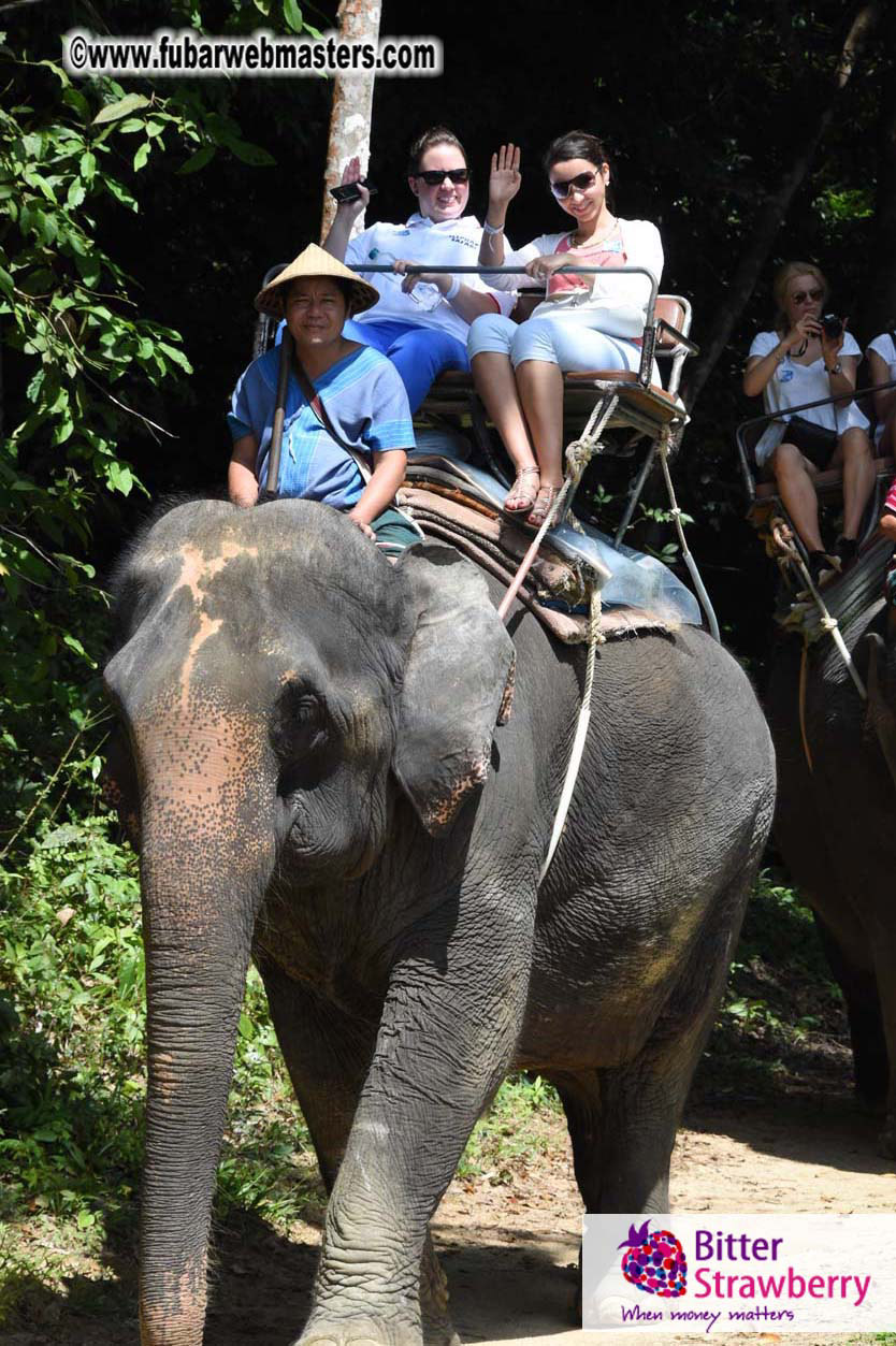 Elephant Safari 