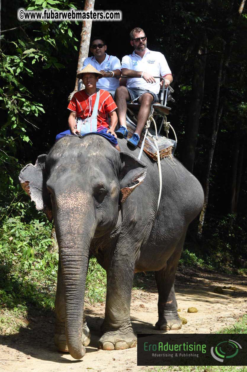 Elephant Safari 