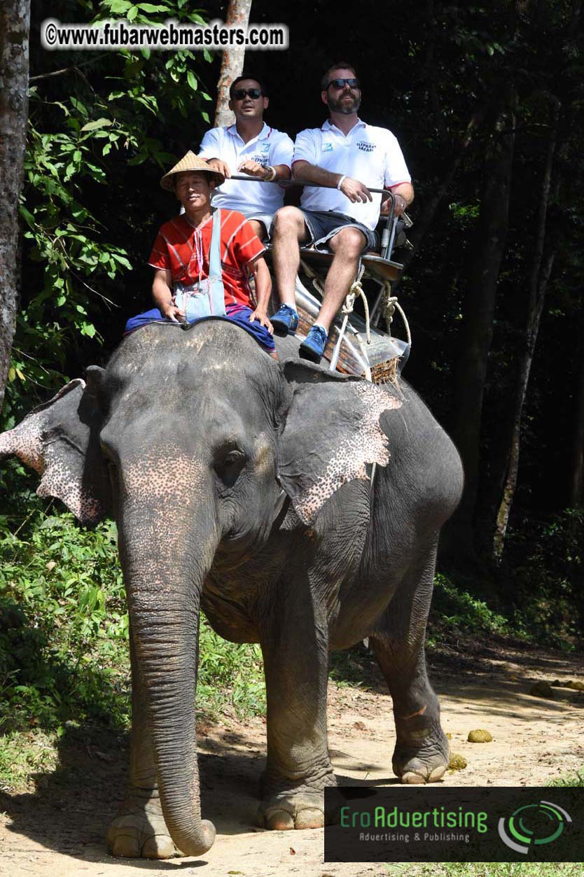 Elephant Safari 