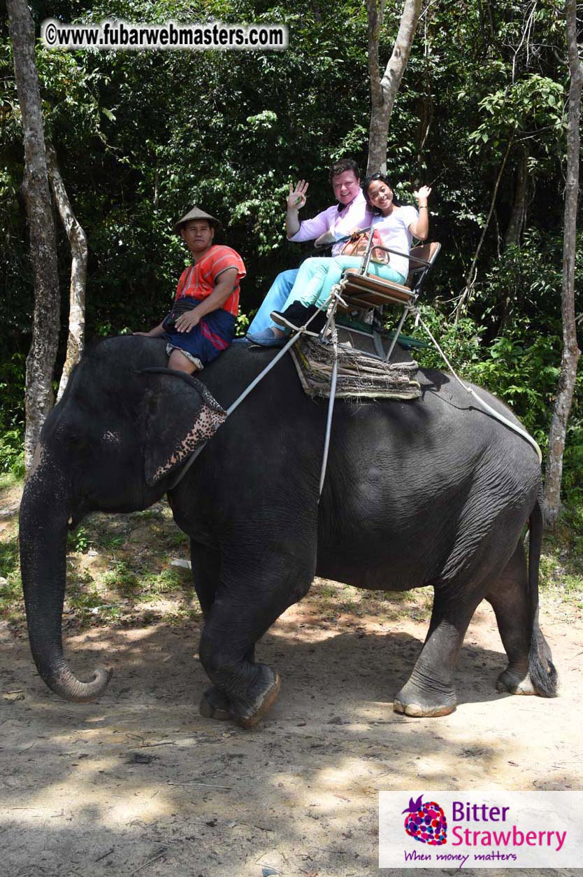 Elephant Safari 