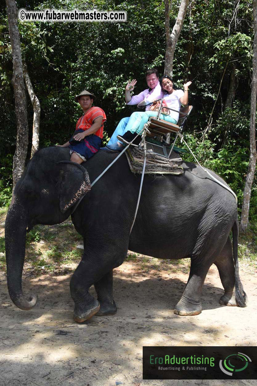 Elephant Safari 