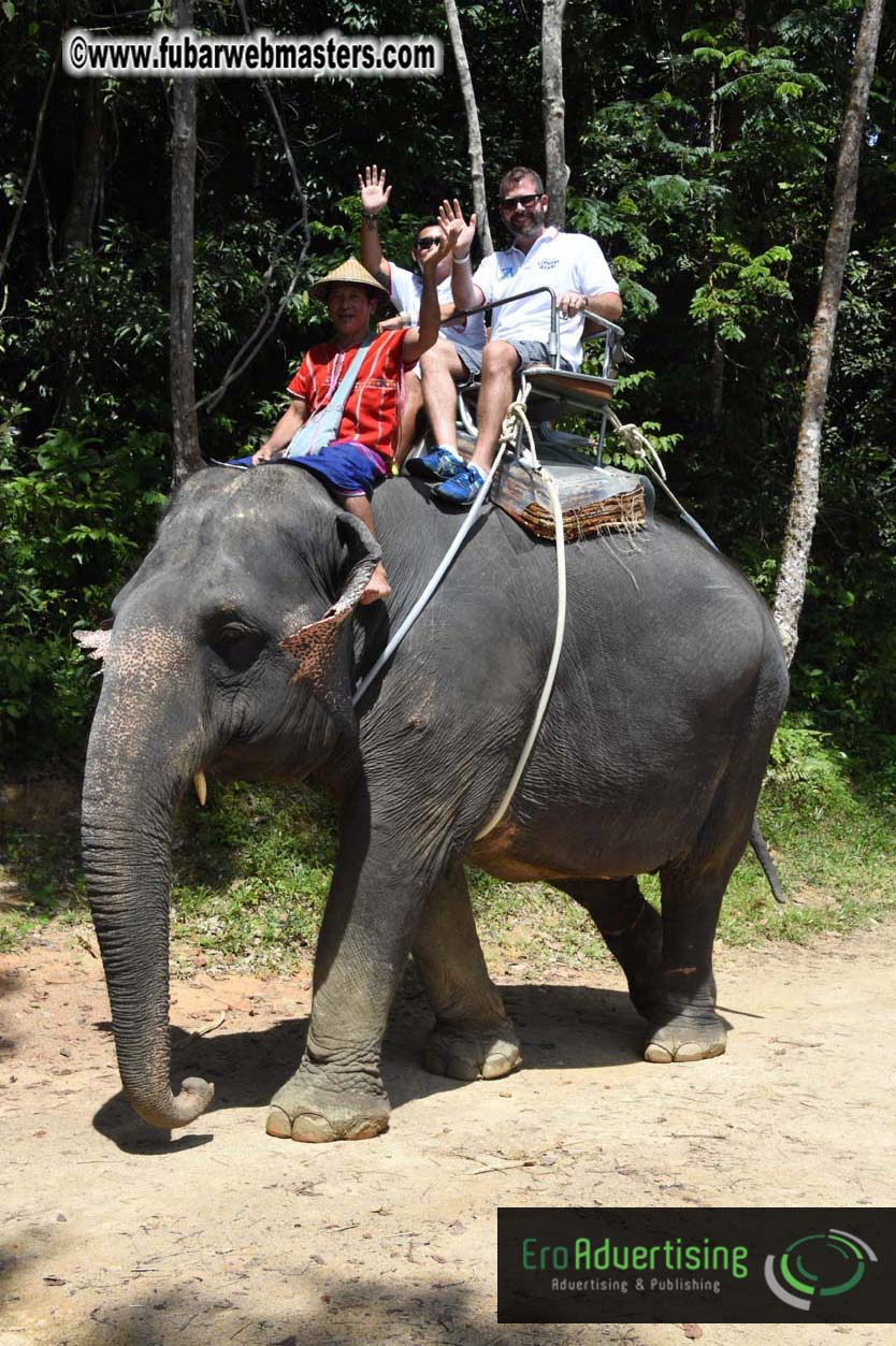 Elephant Safari 