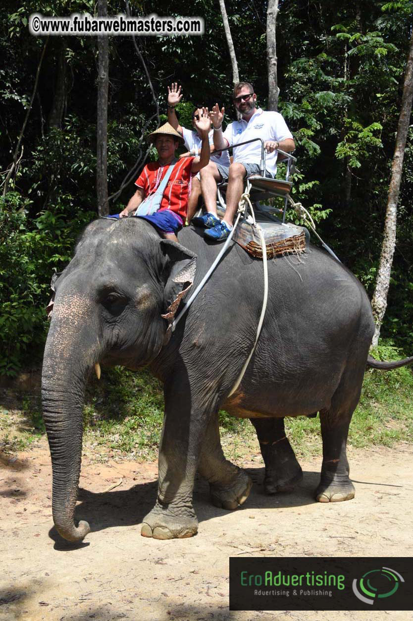 Elephant Safari 